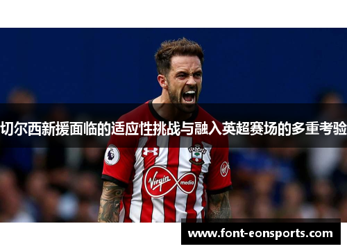 切尔西新援面临的适应性挑战与融入英超赛场的多重考验