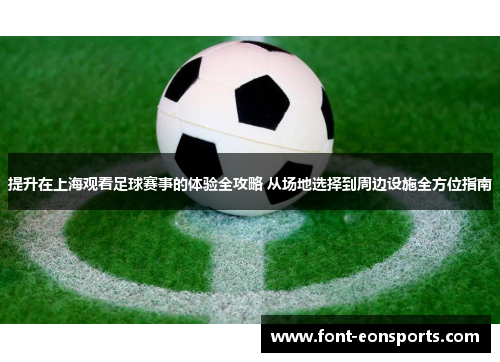 提升在上海观看足球赛事的体验全攻略 从场地选择到周边设施全方位指南