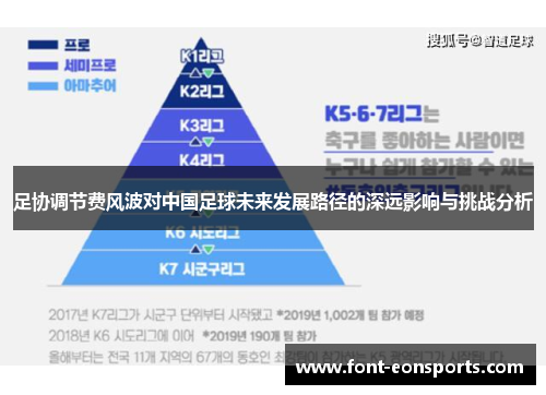 足协调节费风波对中国足球未来发展路径的深远影响与挑战分析