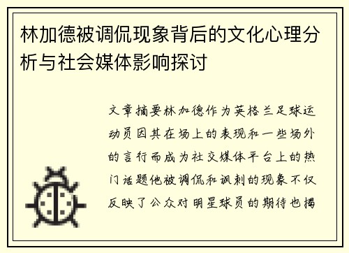 林加德被调侃现象背后的文化心理分析与社会媒体影响探讨