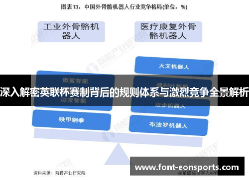 深入解密英联杯赛制背后的规则体系与激烈竞争全景解析
